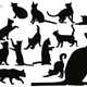 Image for article titled Scientists say they've found the neural origin of humans' "sixth sense"